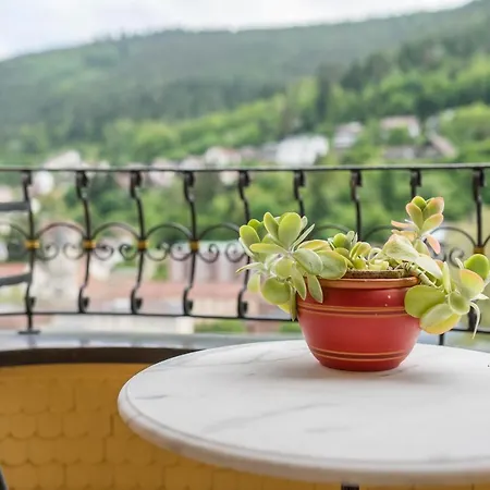 Apartament Saline Bad Wildbad