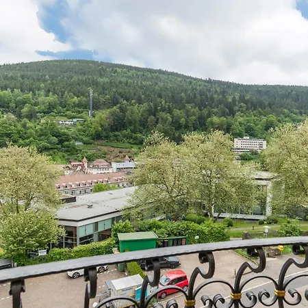 Saline * Bad Wildbad