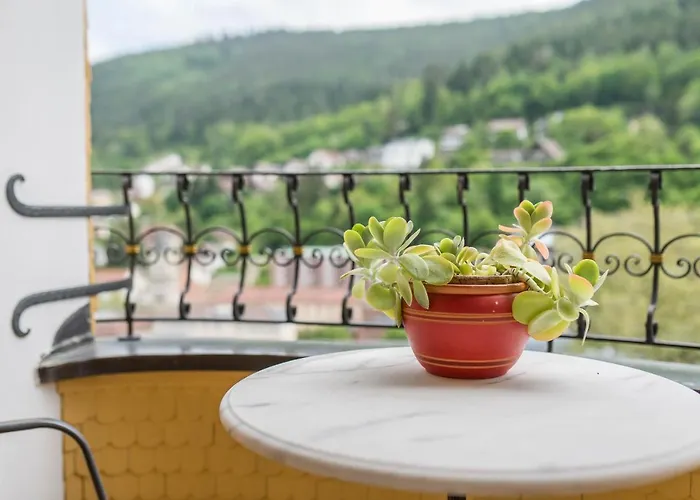 Appartement Saline Bad Wildbad