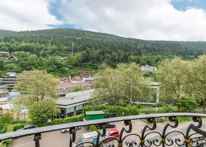 Saline * Bad Wildbad